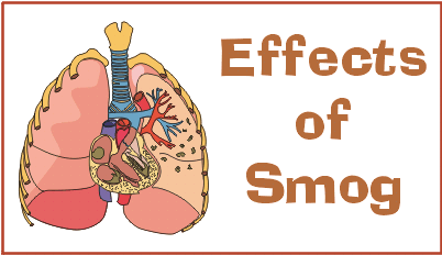 health & environmental effects